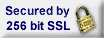 ssl encryption